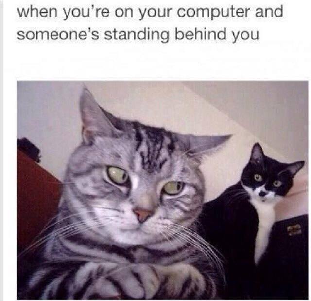 MyUserName