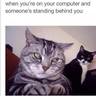 MyUserName