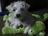 tina_davis_5283