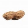 SystemPeanut