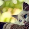 Gendan