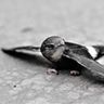 MichaelDerdeyn