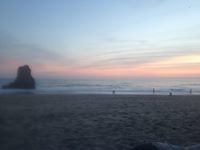 mark_scherer_14