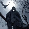 Ravenbran