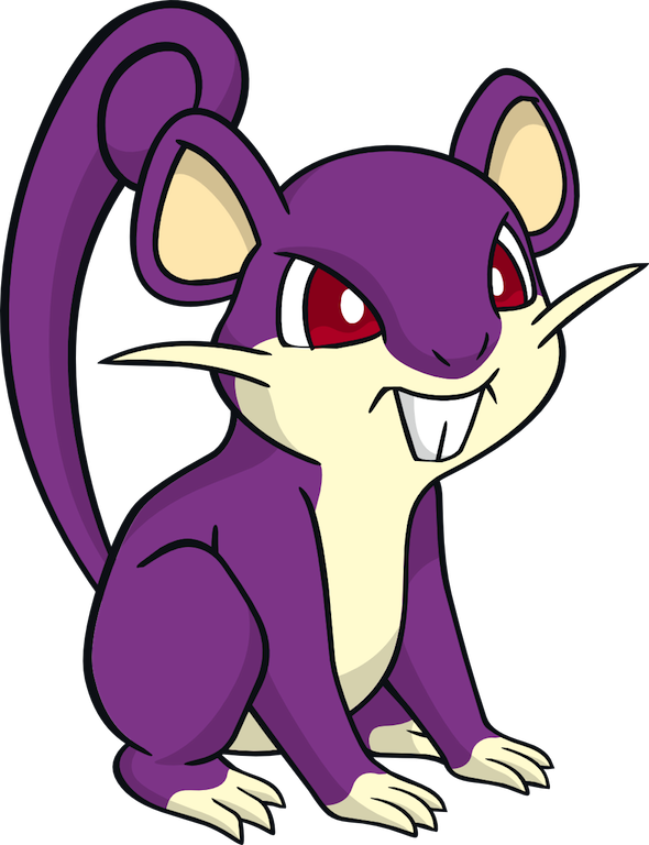 rattata