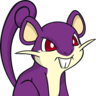rattata