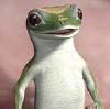 NorthernLizard