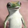 NorthernLizard
