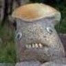tardnoggle