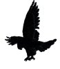 duskhawk