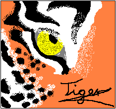 Tigerauge