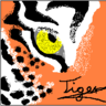 Tigerauge