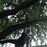 emil_espeland