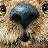 happyotter4