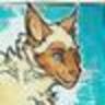 Coyotitude