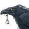 snugglythecrow