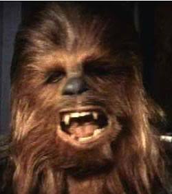chewy27