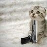 DangerMouse