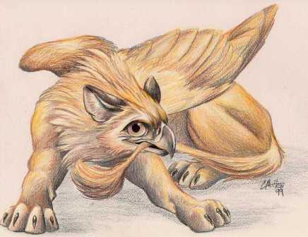 Darkgriffyn