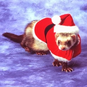 TheHoboWhoSavedChristmas
