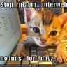 cadkitty