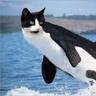 tarthurf