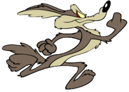 CoyoteAEMT13