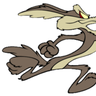 CoyoteAEMT13