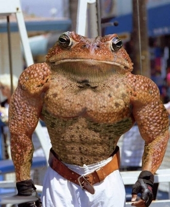 Captain_Spanky
