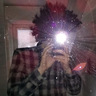 rigel_cyrosea
