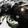 TheSilhouette