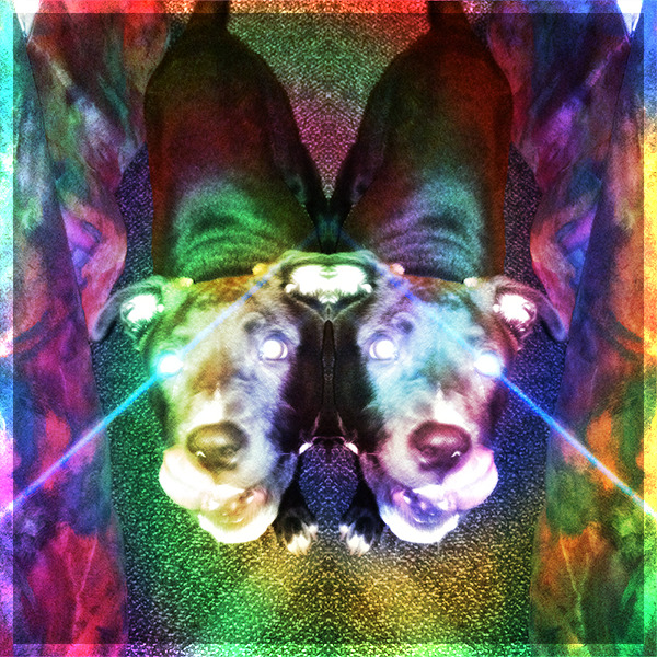 Armoth