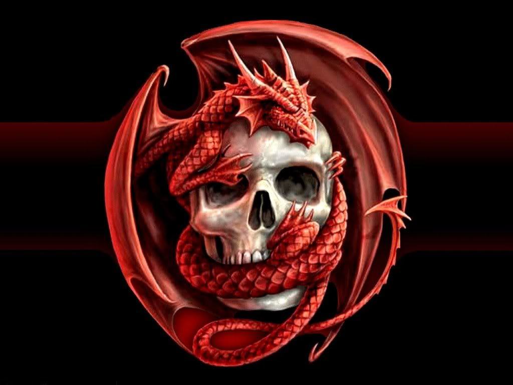 draxenfutter