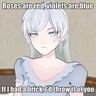 Brony_Eli