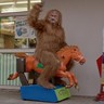 BigDumbYeti