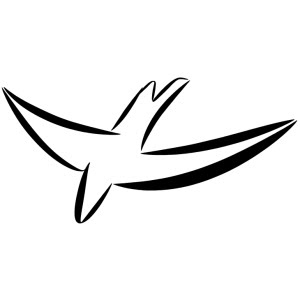 bird_db