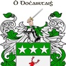 Argyle9
