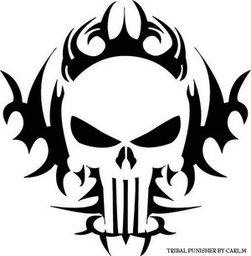 Acecase44