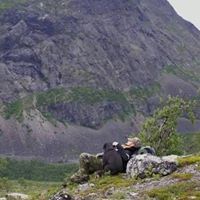 Viktorpedia