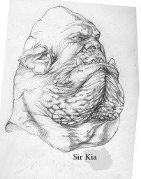 Sir Kai Sir Kai