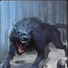 Elyas_Wolfhart