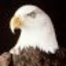 mayhawk