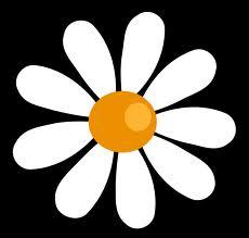 daisyholt