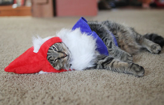 Mittens Mittens