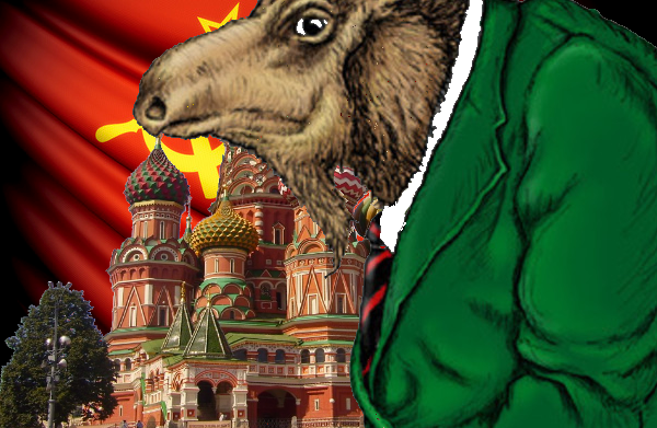 TheRealMoose