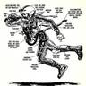 mistergog