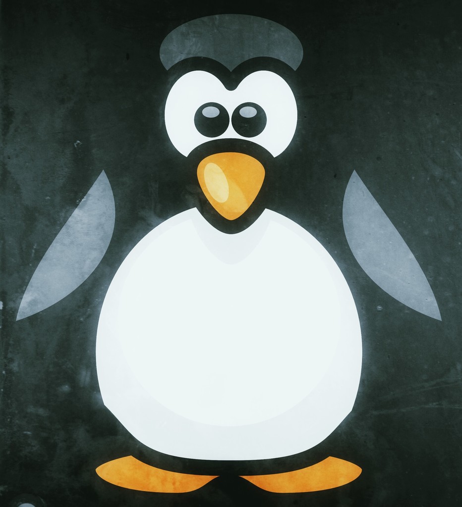 CJackDavid