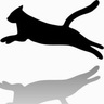 13_Black_Cat