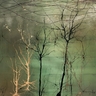 Neutralism