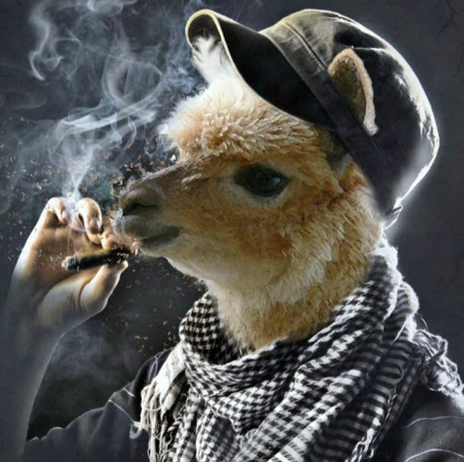 mdfillinger